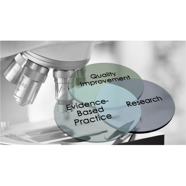 NUR 630 Week 1 Visual Model Presentation