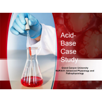 NUR 631 Week 3 CLC Assignment, Acid Base Case Study Powerpoint