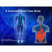 NUR 631 Week 10 CLC Assignment, Gastrointestinal Case Study