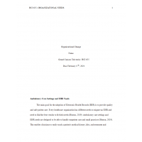 HCI 655 Week 5 Assignment 2 (Organizational Needs) HCI 655 Week 5 Assignment 2 (Organizational Needs)