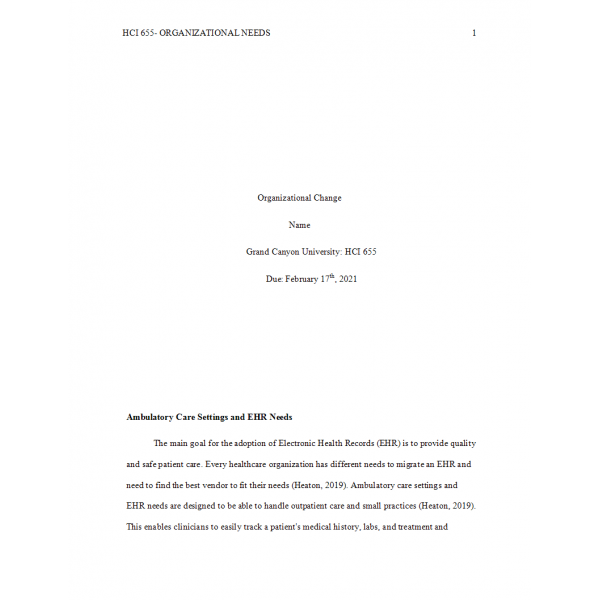 HCI 655 Week 5 Assignment 2 (Organizational Needs)