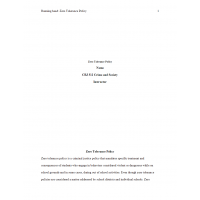 CRJ 312 Week 5 Final Paper, Zero Tolerance Policy 2020