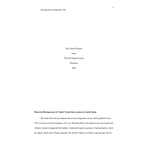 JUS 630 Week 2 Topic 2 Assignment, The United Nations