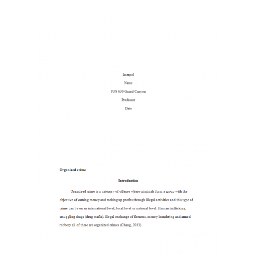 JUS 630 Week 8 Topic 8 Assignment, Interpol