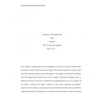 SEC 405 Week 3 Case Study 1, Keylogging Scam SEC 405 Week 3 Case Study 1, Keylogging Scam