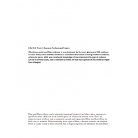 CRJ 311 Week 3 Journal, Professional painter CRJ 311 Week 3 Journal, Professional painter