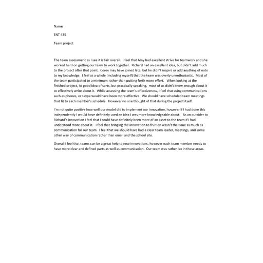 ENT 435 Week 7 Assignment Reflection on the Team Project