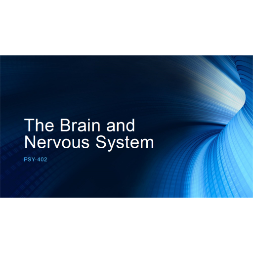 PSY 402 Topic 2 Assignment, Brain and Nervous System Presentation