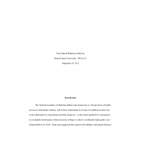 HCA 515 Week 7 Assignment, Team Based Healthcare Delivery Plan HCA 515 Week 7 Assignment, Team Based Healthcare Delivery Plan