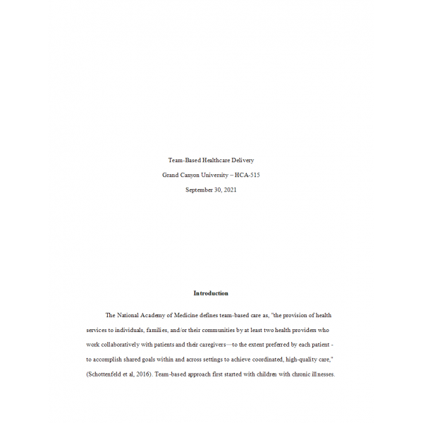 HCA 515 Week 7 Assignment, Team Based Healthcare Delivery Plan