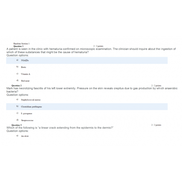 MN 568 Unit 6 Quiz (Set 1) MN 568 Unit 6 Quiz (Set 1)