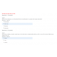 MN 568 Unit 6 Quiz (Set 2) MN 568 Unit 6 Quiz (Set 2)