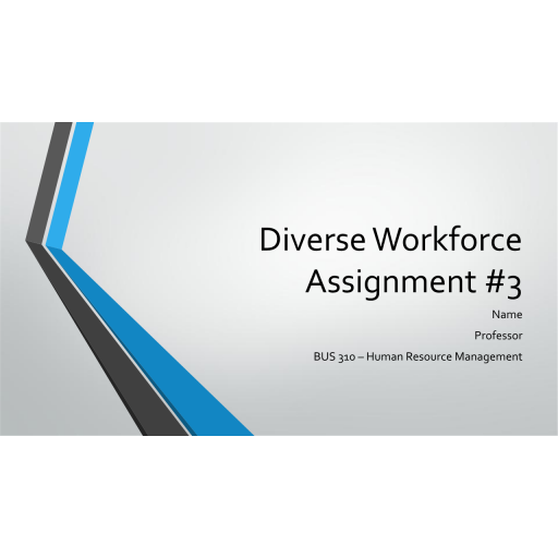 BUS 310 Week 6 Assignment 3, Diverse Workforce Presentation