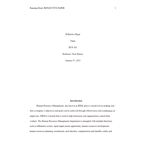 BUS 303 Week 5 Final Reflective Paper 2