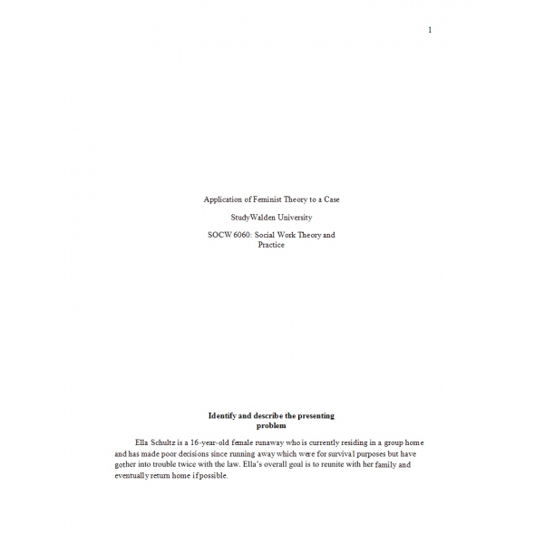 SOCW 6060 Week 7 Assignment, Application of Feminist Theory to a Case Study