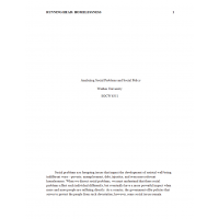SOCW 6351 Week 3 Assignment Application Analyzing Social Problems and Social Policy SOCW 6351 Week 3 Assignment Application Analyzing Social Problems and Social Policy