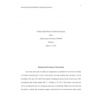 NUR 699 Week 2 Assignment 2, EBP Proposal Section B - Problem Description NUR 699 Week 2 Assignment 2, EBP Proposal Section B - Problem Description