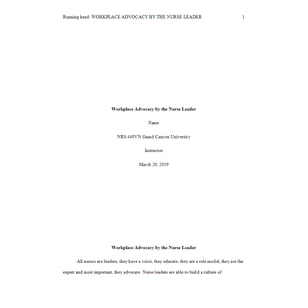 NRS 440VN Week 5 Assignment, Combining Nurse Leader with Advocacy NRS 440VN Week 5 Assignment, Combining Nurse Leader with Advocacy