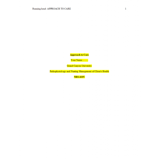 NRS 410V Week 2 Assignment, Approach to Care 2