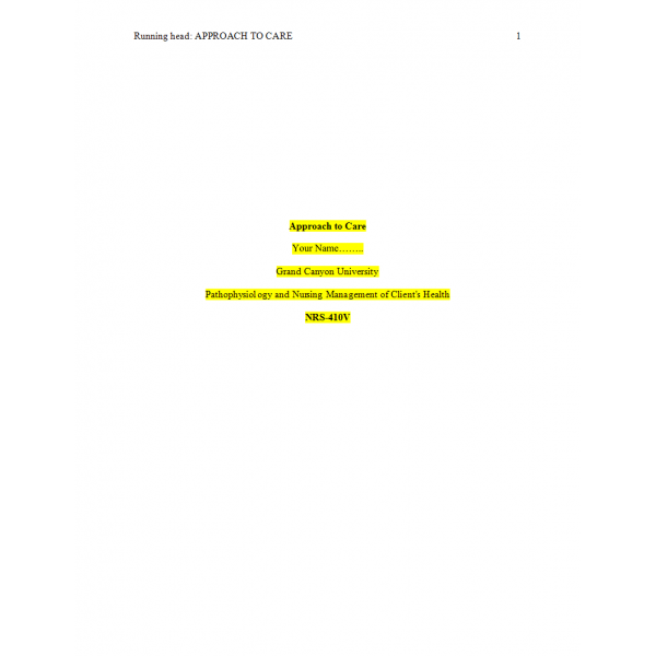 NRS 410V Week 2 Assignment, Approach to Care 2