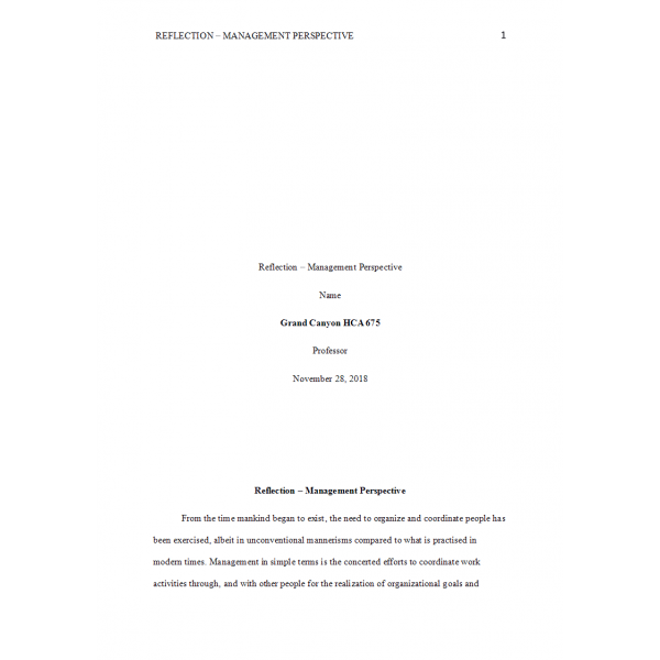 HCA 675 Week 6 Assignment, Reflection