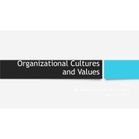 NRS 451VN Week 4 Assignment, Organizational Values Presentation NRS 451VN Week 4 Assignment, Organizational Values Presentation