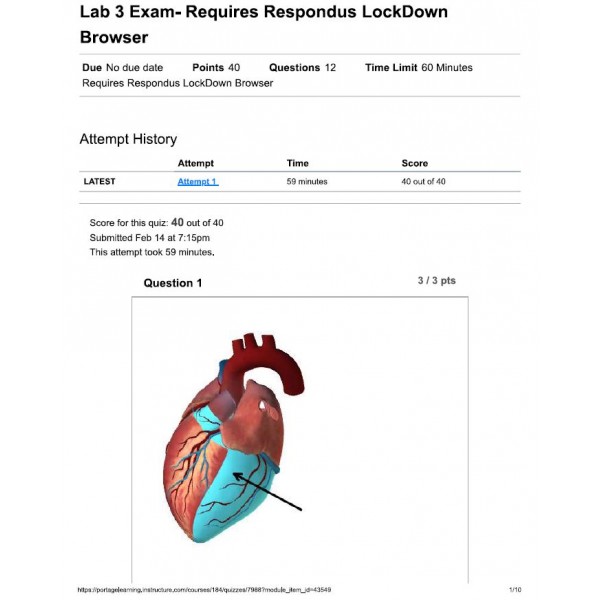 BIOD 152 Lab 3 Exam
