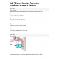 BIOD 152 A & P II Lab 7 Exam - Portage Learning (37.5 out of 40)