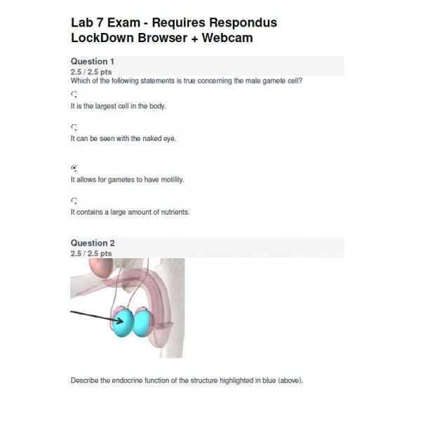 BIOD 152 A & P II Lab 7 Exam - Portage Learning (37.5 out of 40)