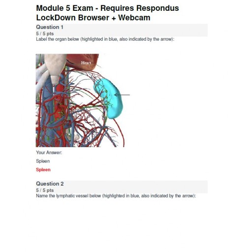 BIOD 152 A & P II Module 5 Exam - Portage Learning (95.17 out of 100)