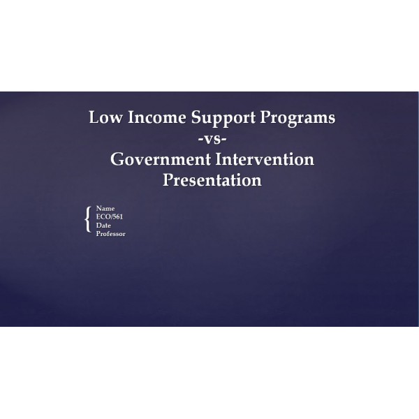 ECO 561 Week 2 Assignment, Low Income Support Programs vs Govt Intervention