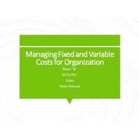 ECO 561 Week 3 Team Assignment, Managing Fixed and Variable Costs for Organization (Target and Walmart)