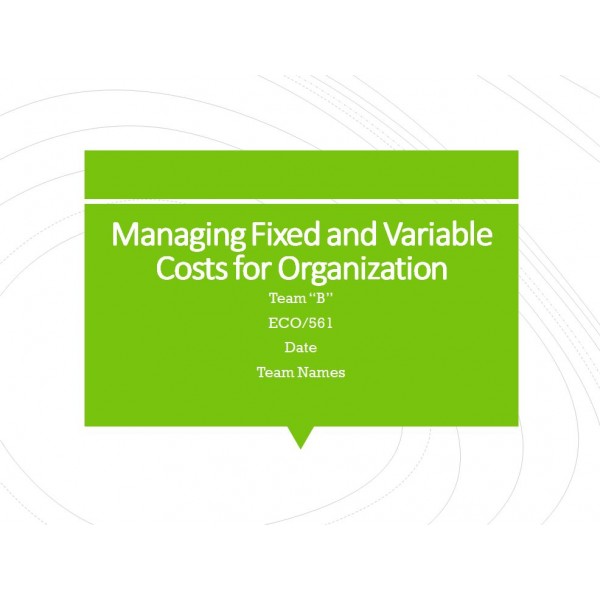 ECO 561 Week 3 Team Assignment, Managing Fixed and Variable Costs for Organization (Target and Walmart)