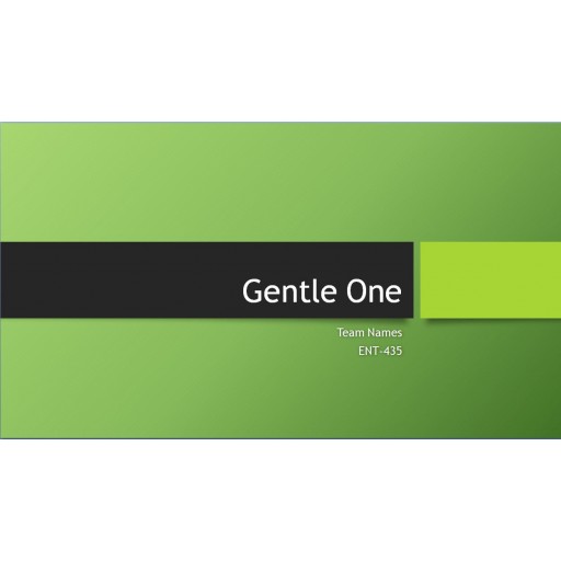 ENT 435 Week 7 CLC Assignemnt Phase 3, Presenting the Plan (Gentle One)