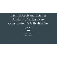 HCA 470 CLC Internal Audit and External Analysis of a Healthcare Organization