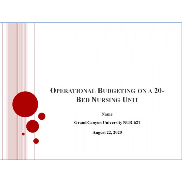 NUR 621 Week 1 Assignment, Operational Budget Presentation