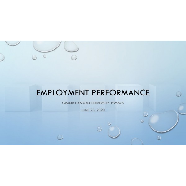 PSY 665 Week 6 Assignment, Employment Performance