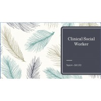 SOC 372 Topic 4 Assignment, Clinical Social Worker and Communities